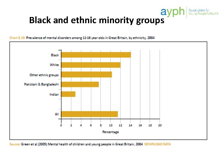 Black and ethnic minority groups 