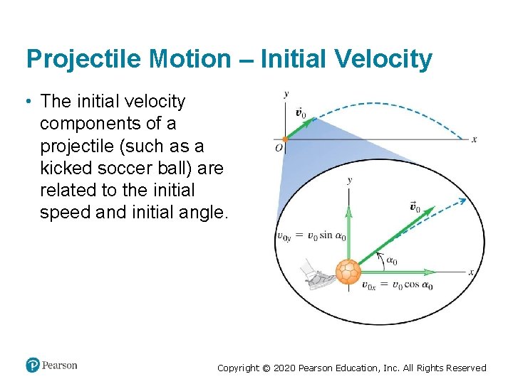 Projectile Motion – Initial Velocity • The initial velocity components of a projectile (such