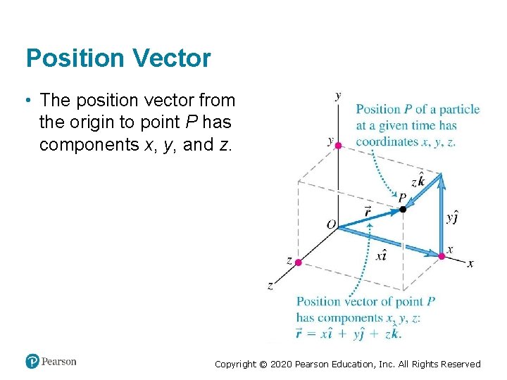 Position Vector • The position vector from the origin to point P has components