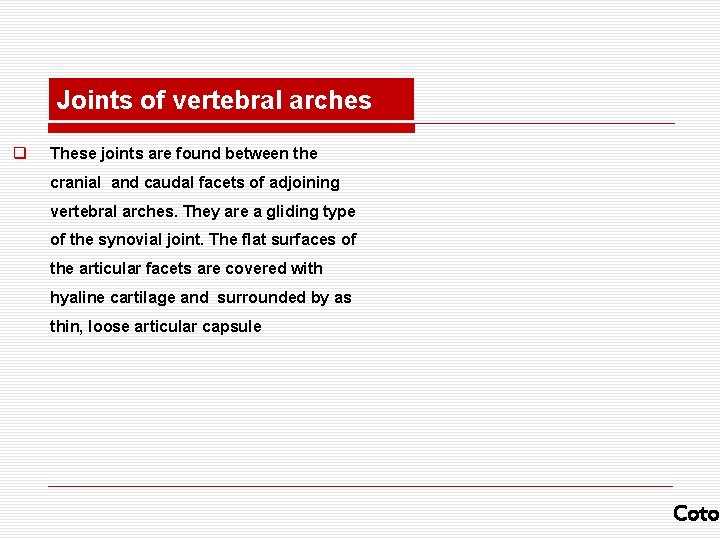 Joints of vertebral arches q These joints are found between the cranial and caudal