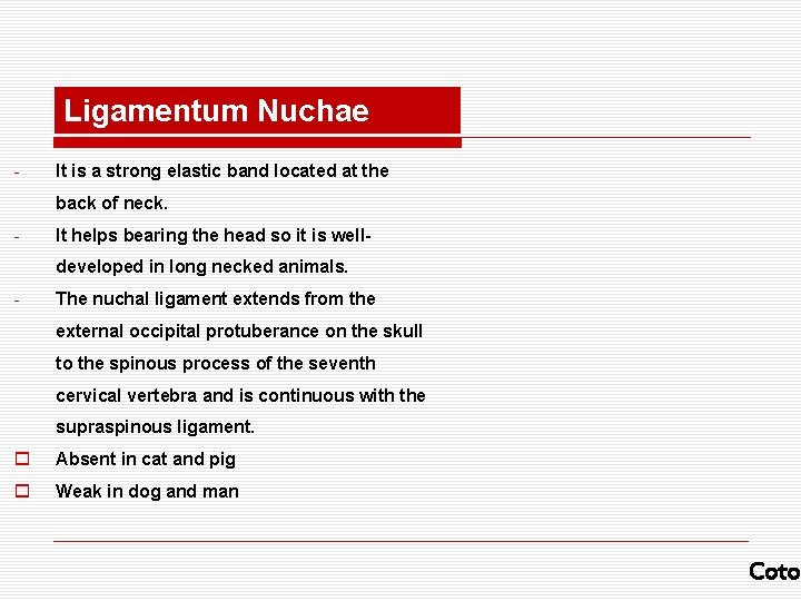 Ligamentum Nuchae - It is a strong elastic band located at the back of