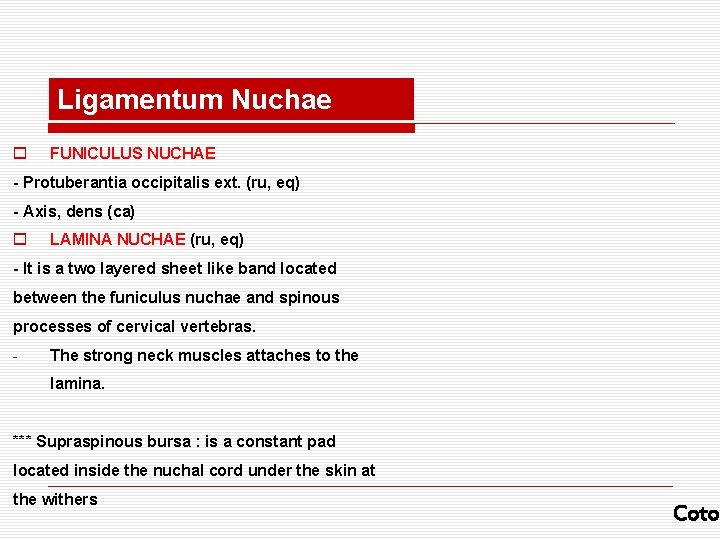 Ligamentum Nuchae o FUNICULUS NUCHAE - Protuberantia occipitalis ext. (ru, eq) - Axis, dens