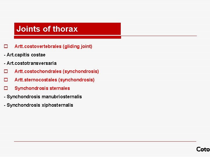 Joints of thorax o Artt. costovertebrales (gliding joint) - Art. capitis costae - Art.