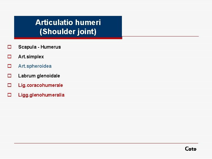 Articulatio humeri (Shoulder joint) o Scapula - Humerus o Art. simplex o Art. spheroidea