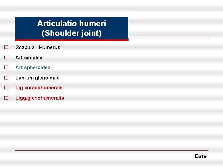 Articulatio humeri (Shoulder joint) o Scapula - Humerus o Art. simplex o Art. spheroidea