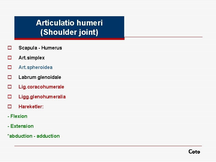 Articulatio humeri (Shoulder joint) o Scapula - Humerus o Art. simplex o Art. spheroidea