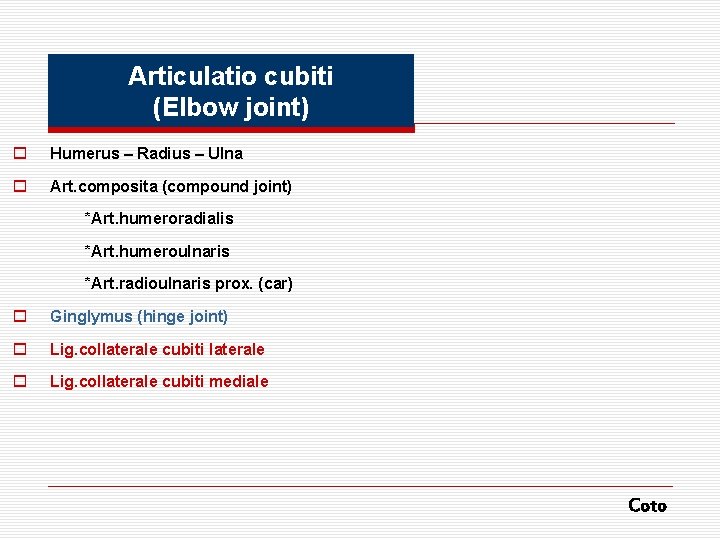 Articulatio cubiti (Elbow joint) o Humerus – Radius – Ulna o Art. composita (compound