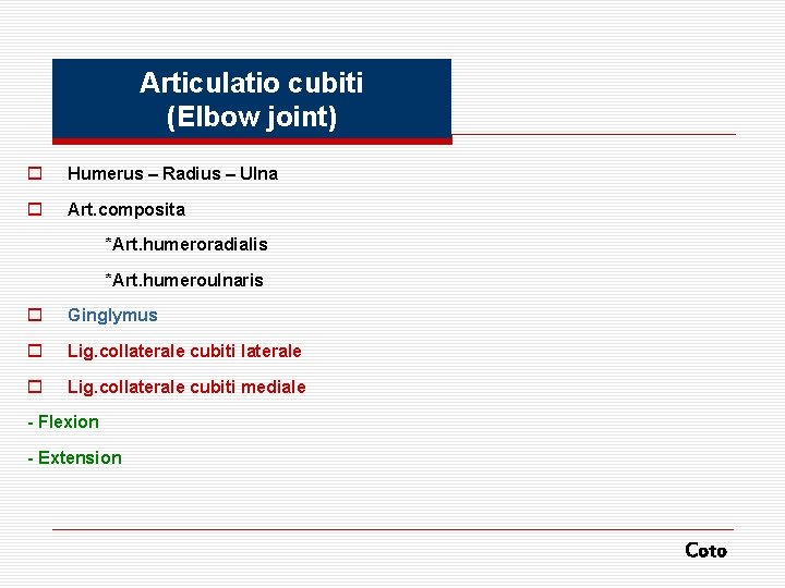 Articulatio cubiti (Elbow joint) o Humerus – Radius – Ulna o Art. composita *Art.