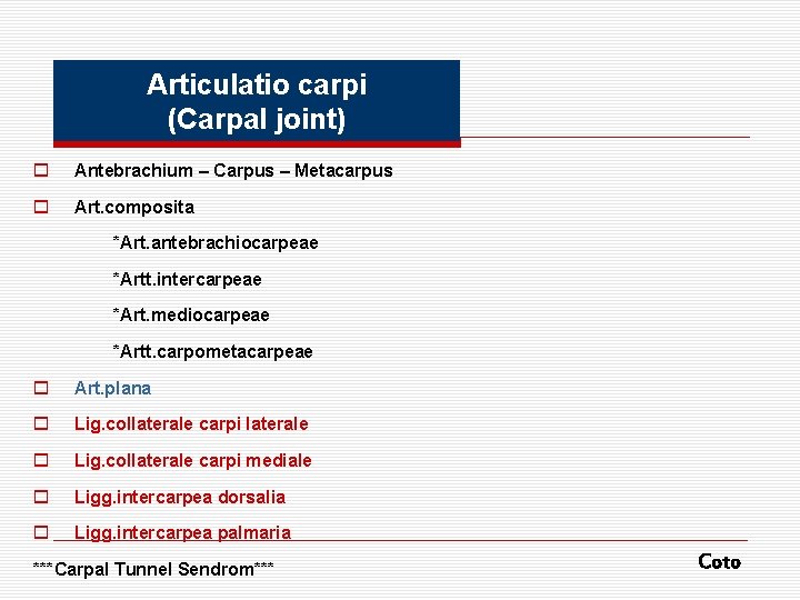 Articulatio carpi (Carpal joint) o Antebrachium – Carpus – Metacarpus o Art. composita *Art.