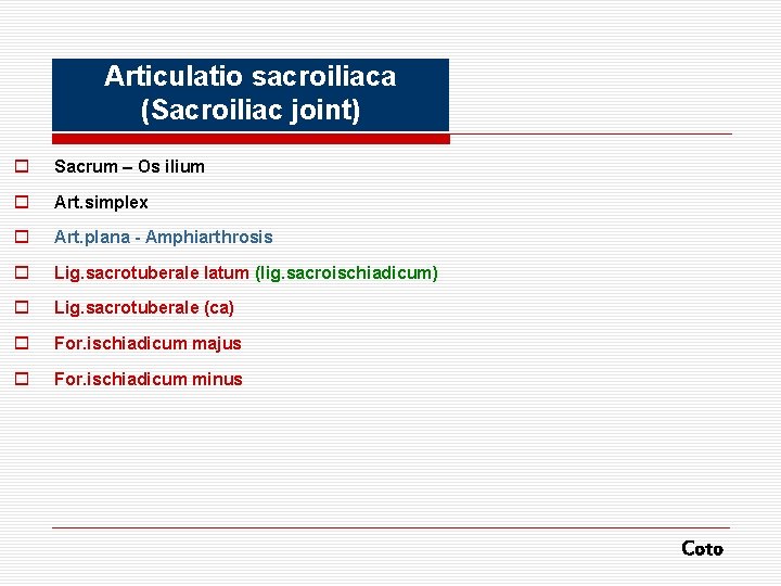 Articulatio sacroiliaca (Sacroiliac joint) o Sacrum – Os ilium o Art. simplex o Art.