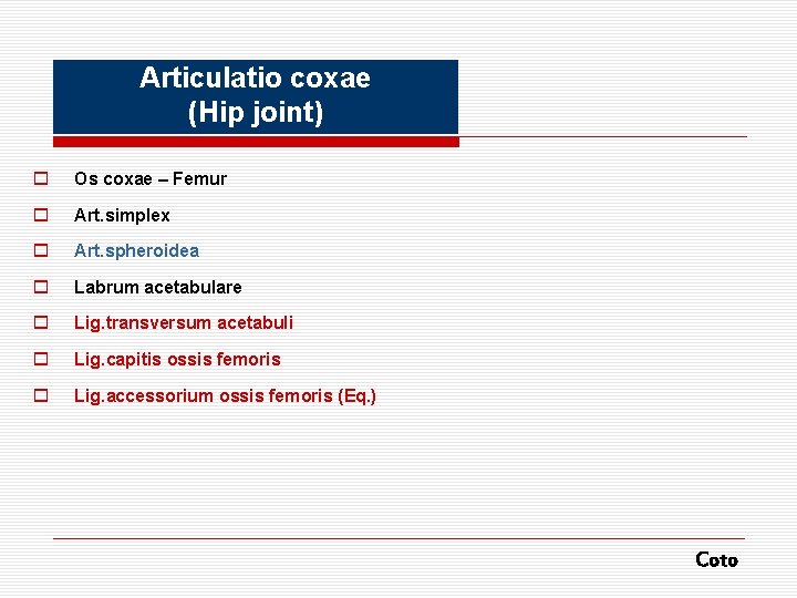 Articulatio coxae (Hip joint) o Os coxae – Femur o Art. simplex o Art.