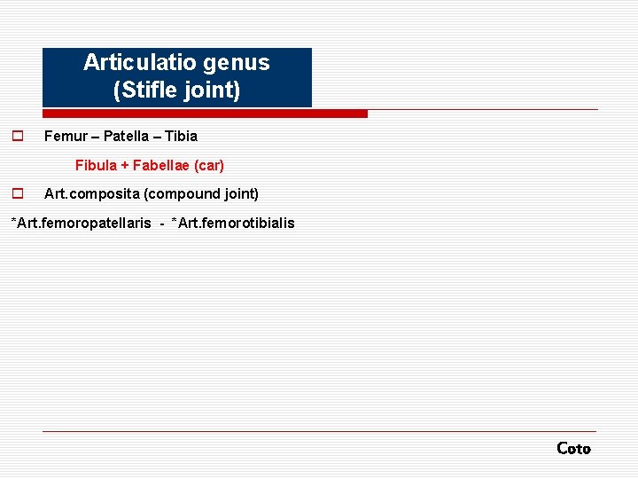 Articulatio genus (Stifle joint) o Femur – Patella – Tibia Fibula + Fabellae (car)