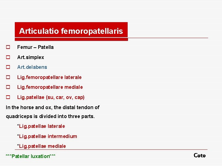 Articulatio femoropatellaris o Femur – Patella o Art. simplex o Art. delabens o Lig.