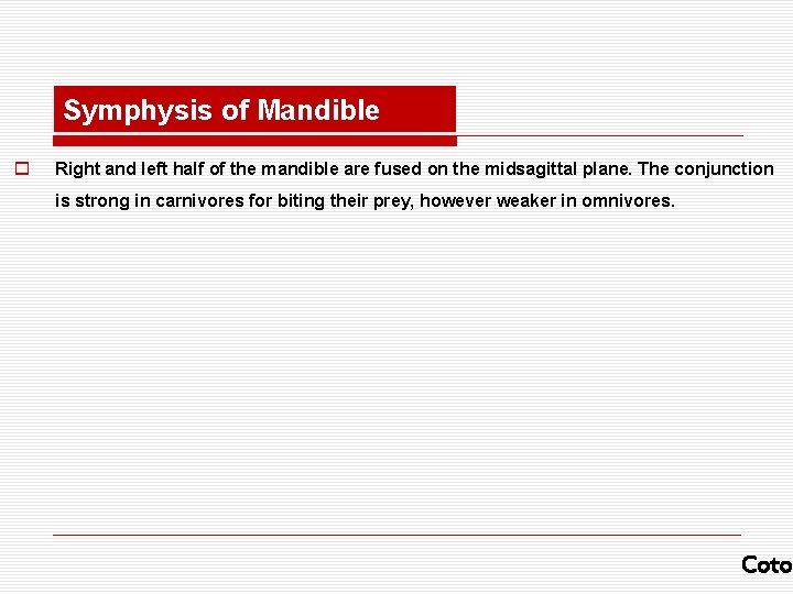 Symphysis of Mandible o Right and left half of the mandible are fused on