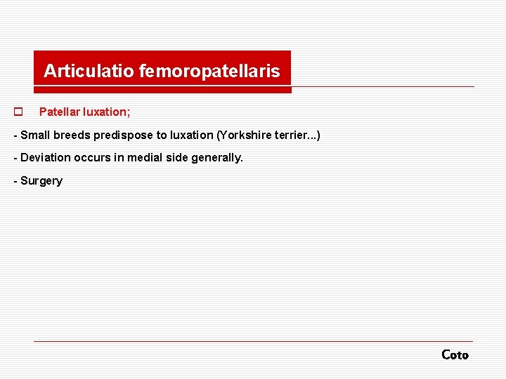 Articulatio femoropatellaris o Patellar luxation; - Small breeds predispose to luxation (Yorkshire terrier. .