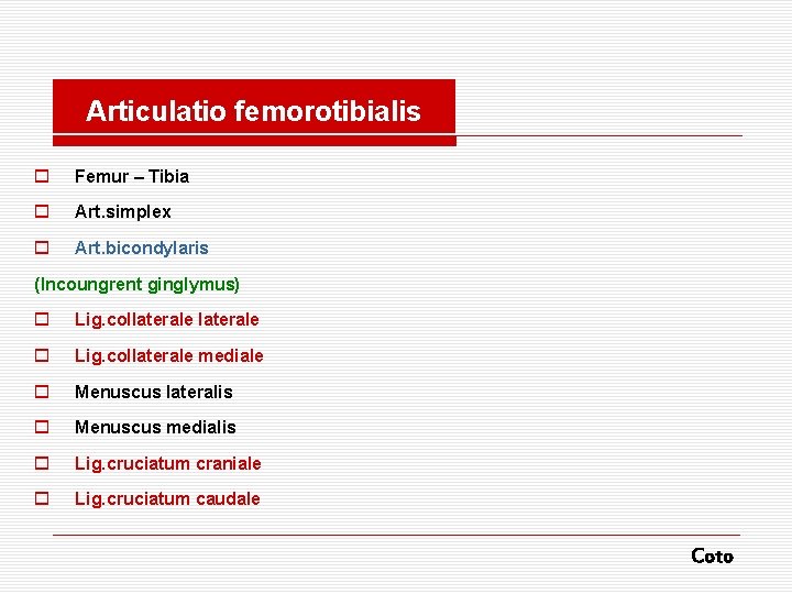 Articulatio femorotibialis o Femur – Tibia o Art. simplex o Art. bicondylaris (Incoungrent ginglymus)