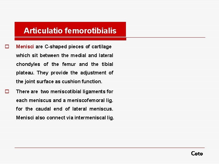 Articulatio femorotibialis o Menisci are C-shaped pieces of cartilage which sit between the medial