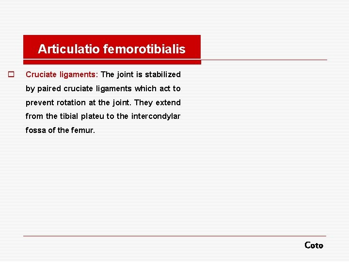 Articulatio femorotibialis o Cruciate ligaments: The joint is stabilized by paired cruciate ligaments which