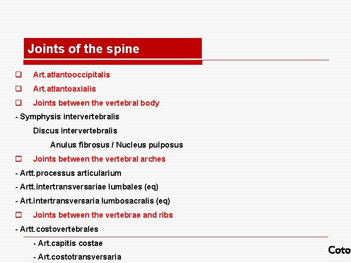 Joints of the spine q Art. atlantooccipitalis q Art. atlantoaxialis q Joints between the