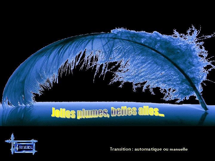 Transition : automatique ou manuelle 