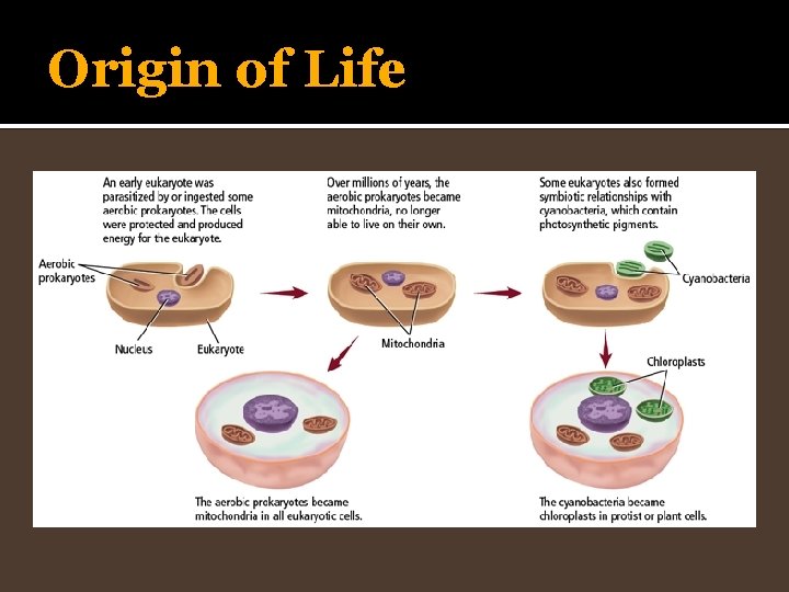 Origin of Life 