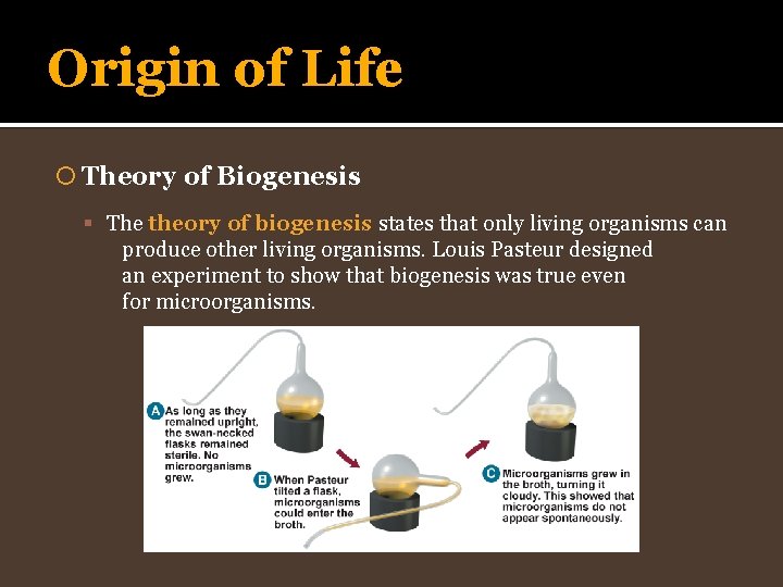 Origin of Life Theory of Biogenesis The theory of biogenesis states that only living
