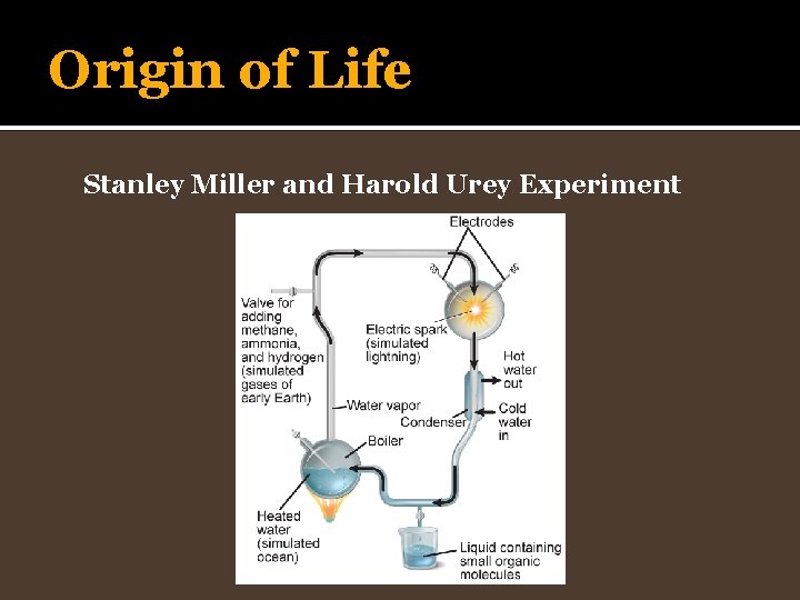 Origin of Life Stanley Miller and Harold Urey Experiment 