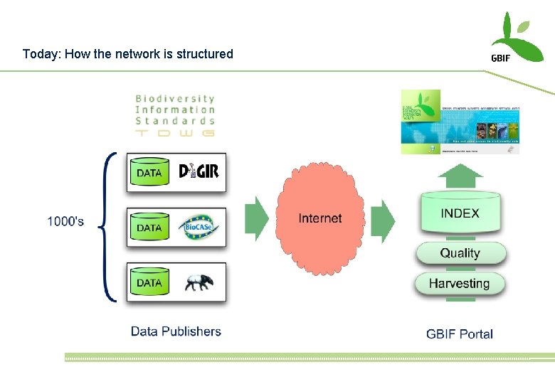 Gbip Network GLOBAL BIODIVERSITY INFORMATION FACILITY Designing a Global Network