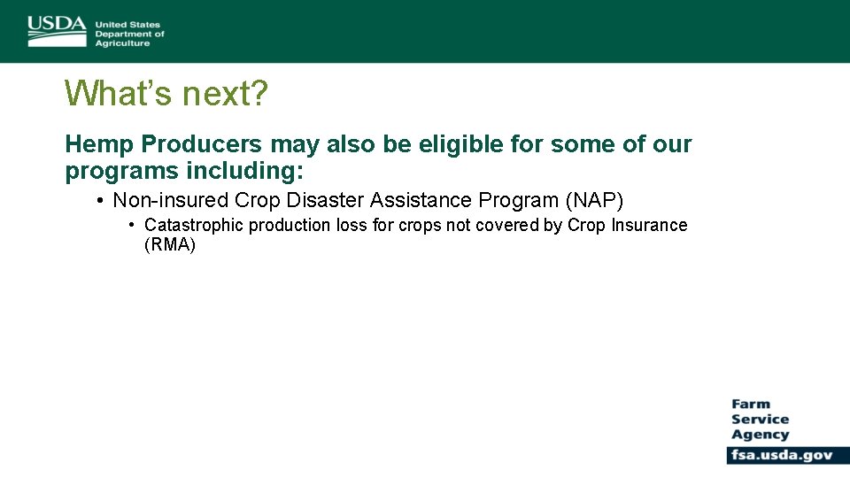 What’s next? Hemp Producers may also be eligible for some of our programs including: