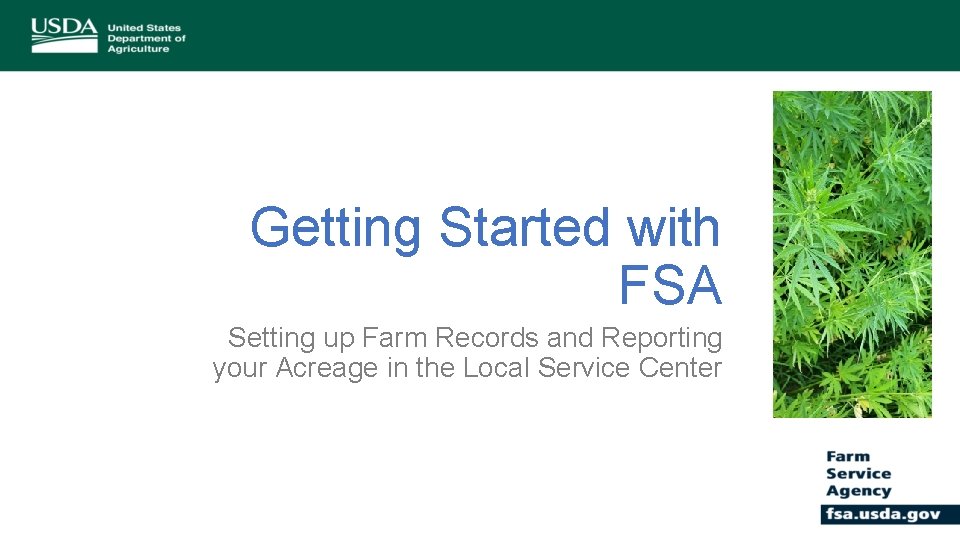 Getting Started with FSA Setting up Farm Records and Reporting your Acreage in the