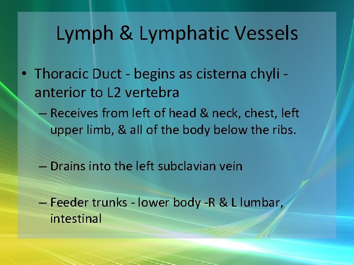 Lymph & Lymphatic Vessels • Thoracic Duct - begins as cisterna chyli anterior to