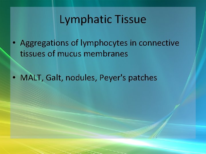 Lymphatic Tissue • Aggregations of lymphocytes in connective tissues of mucus membranes • MALT,