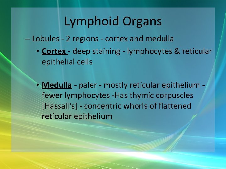 Lymphoid Organs – Lobules - 2 regions - cortex and medulla • Cortex -