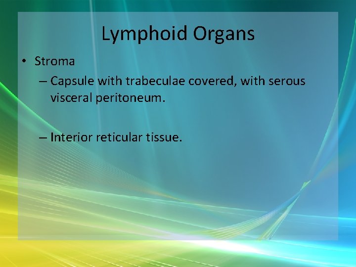 Lymphoid Organs • Stroma – Capsule with trabeculae covered, with serous visceral peritoneum. –