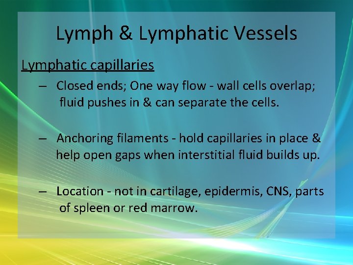 Lymph & Lymphatic Vessels Lymphatic capillaries – Closed ends; One way flow - wall