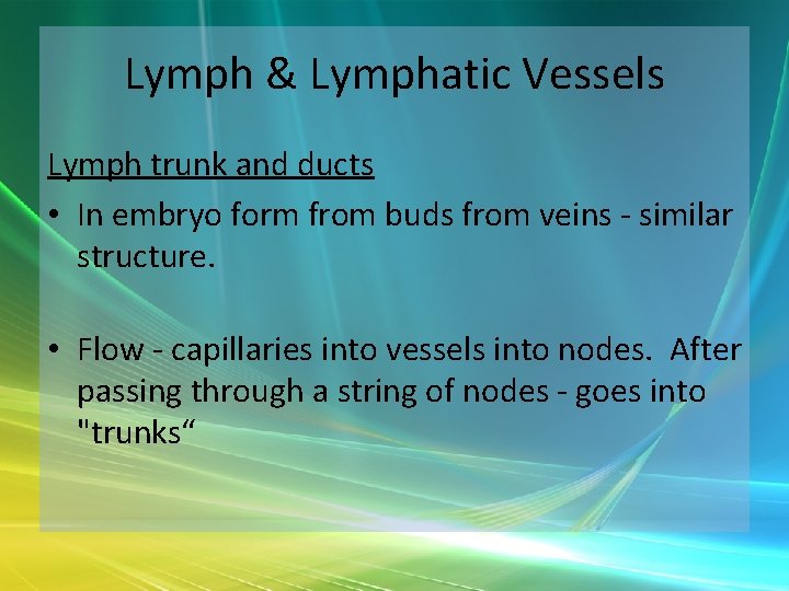 Lymph & Lymphatic Vessels Lymph trunk and ducts • In embryo form from buds