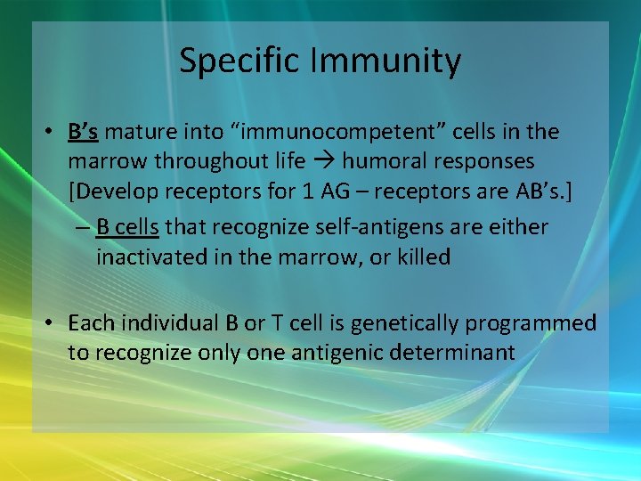 Specific Immunity • B’s mature into “immunocompetent” cells in the marrow throughout life humoral