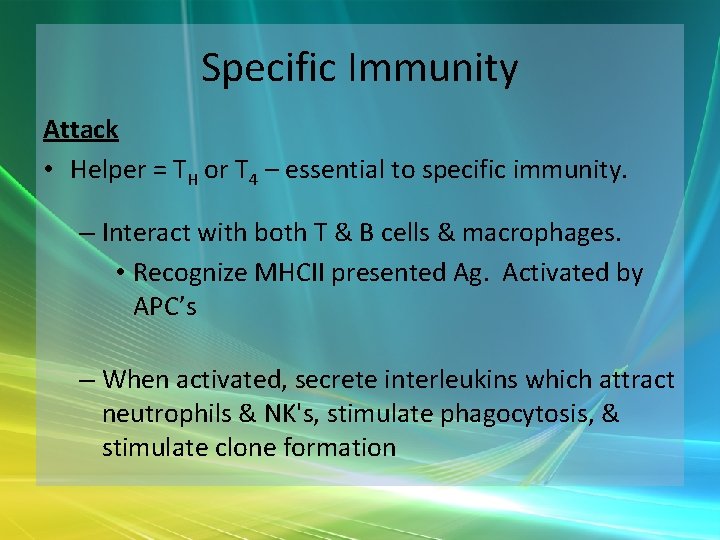 Specific Immunity Attack • Helper = TH or T 4 – essential to specific