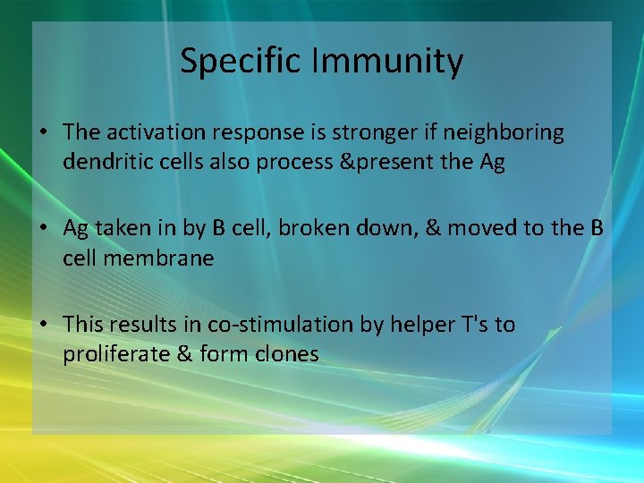 Specific Immunity • The activation response is stronger if neighboring dendritic cells also process