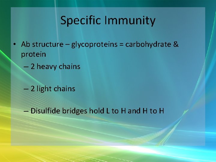 Specific Immunity • Ab structure – glycoproteins = carbohydrate & protein – 2 heavy