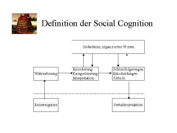 Definition der Social Cognition 