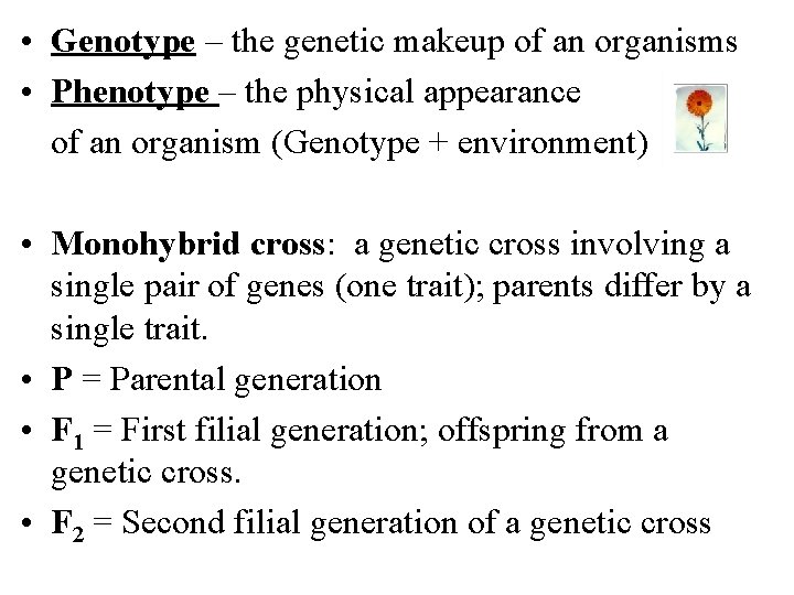  • Genotype – the genetic makeup of an organisms • Phenotype – the