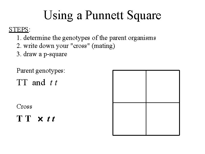 Using a Punnett Square STEPS: 1. determine the genotypes of the parent organisms 2.