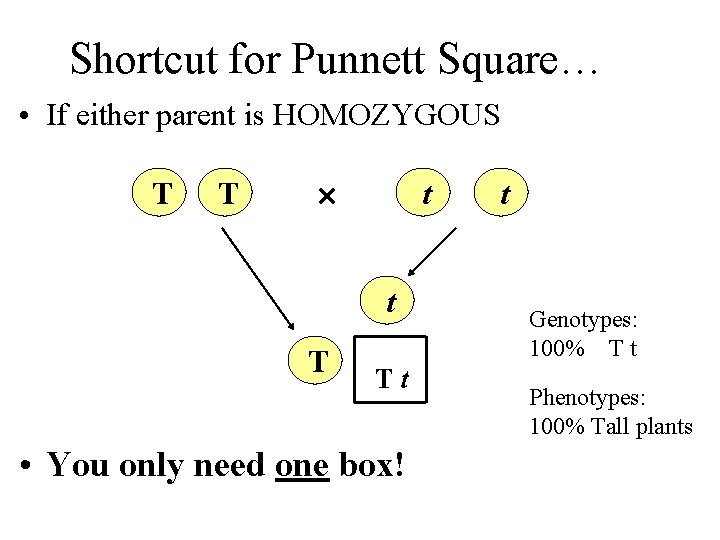 Shortcut for Punnett Square… • If either parent is HOMOZYGOUS T T t t