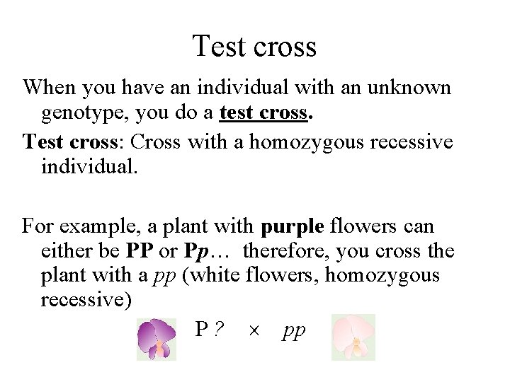 Test cross When you have an individual with an unknown genotype, you do a