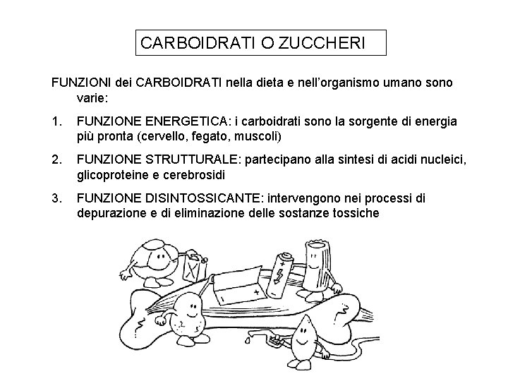 CARBOIDRATI O ZUCCHERI FUNZIONI dei CARBOIDRATI nella dieta e nell’organismo umano sono varie: 1.