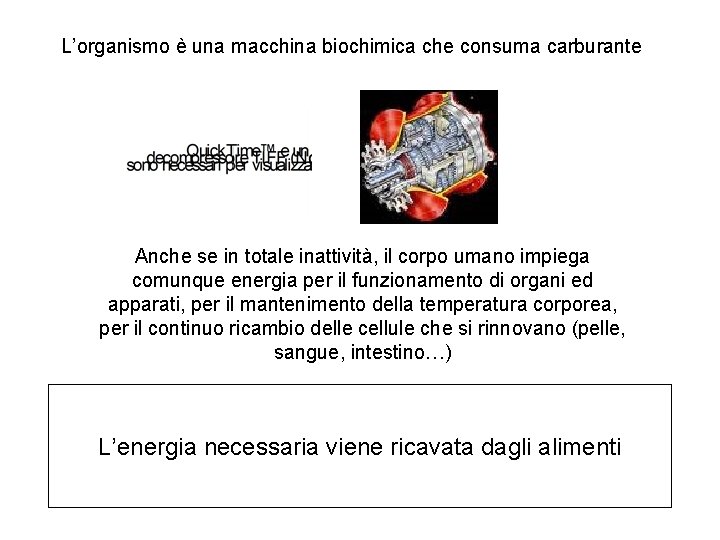 L’organismo è una macchina biochimica che consuma carburante Anche se in totale inattività, il