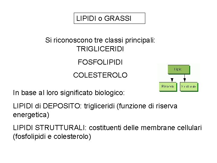 LIPIDI o GRASSI Si riconoscono tre classi principali: TRIGLICERIDI FOSFOLIPIDI COLESTEROLO In base al