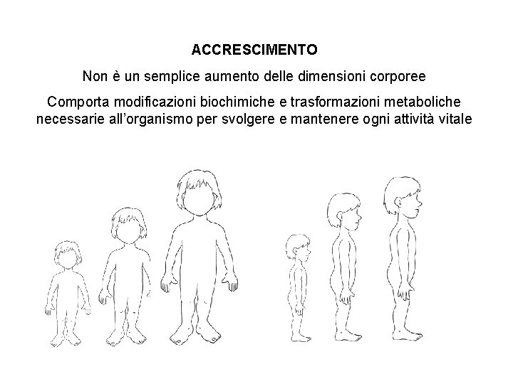 ACCRESCIMENTO Non è un semplice aumento delle dimensioni corporee Comporta modificazioni biochimiche e trasformazioni