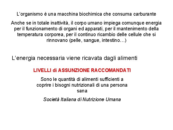L’organismo è una macchina biochimica che consuma carburante Anche se in totale inattività, il